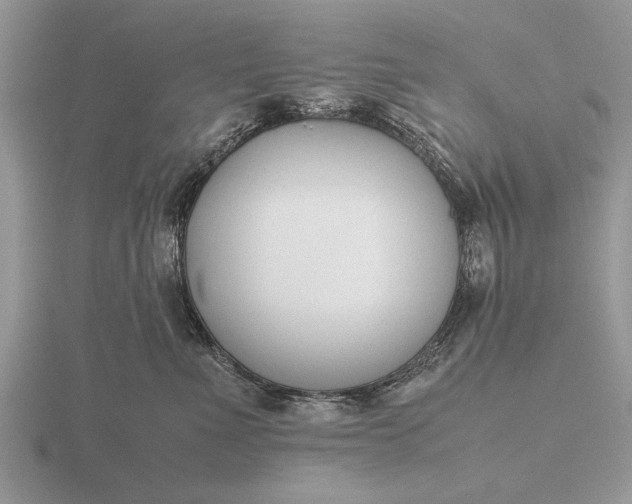 X0000116260523200912141310
