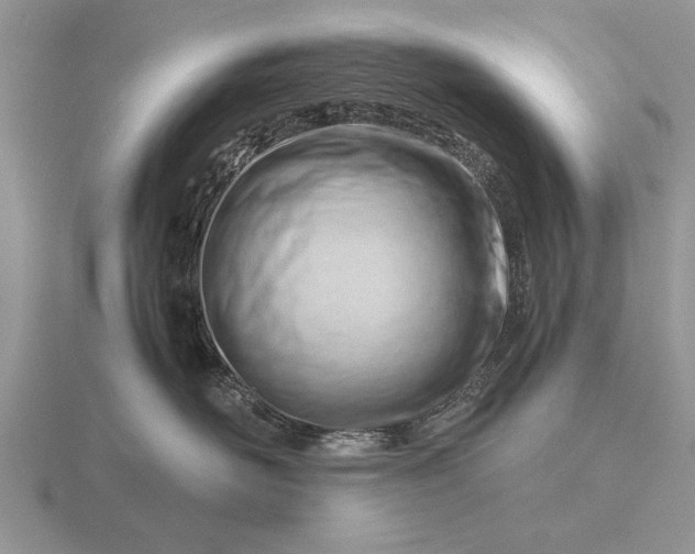 X0000116260526200912141310