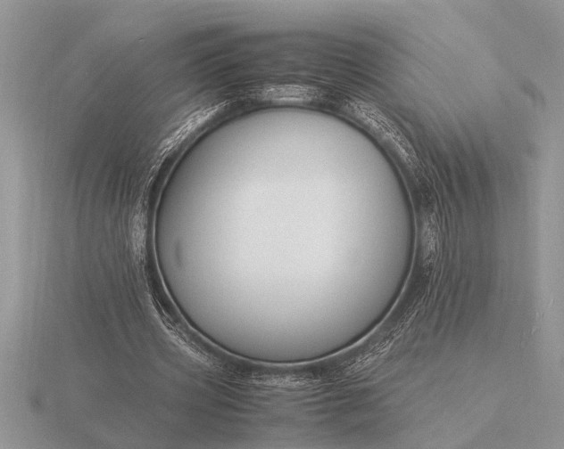 X0000116260533200912141309