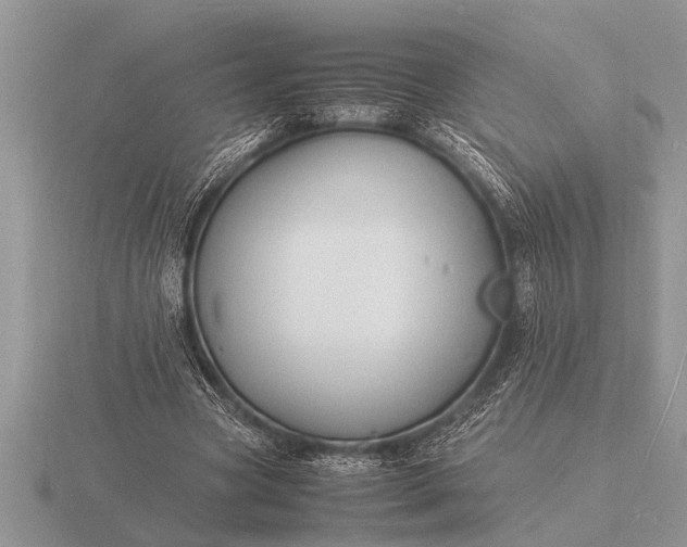 X0000116260537200912141309