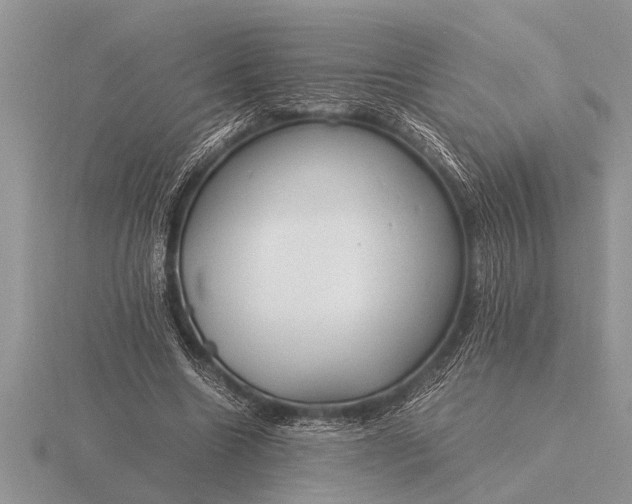 X0000116260538200912141309