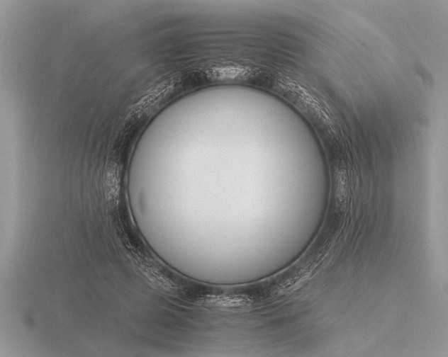 X0000116260545200912141310