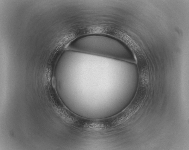 X0000116260546200912141310
