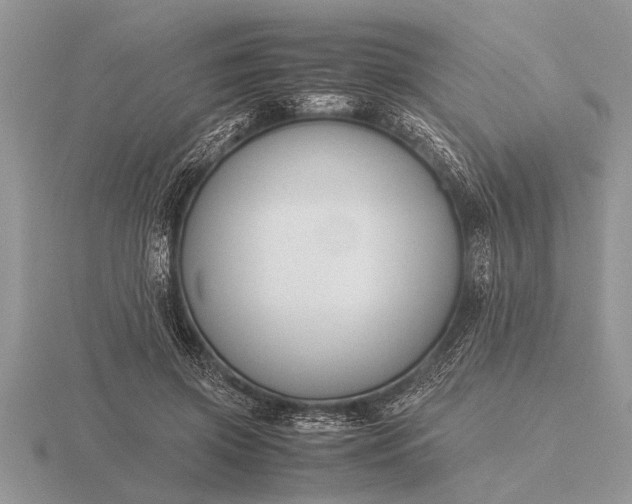 X0000116260549200912141310