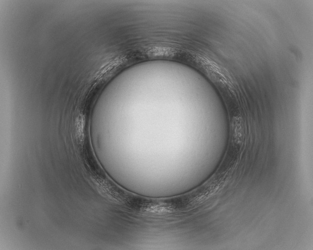 X0000116260550200912141310