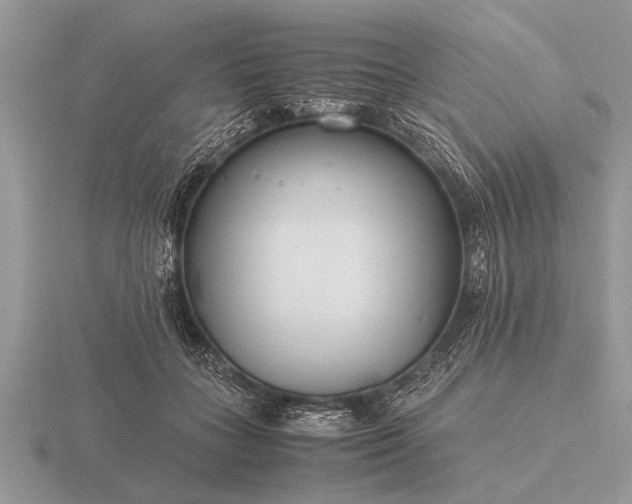 X0000116260555200912141310