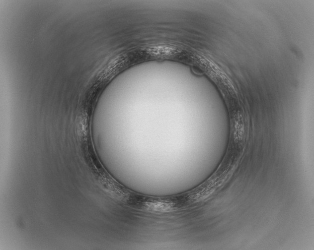 X0000116260561200912141310