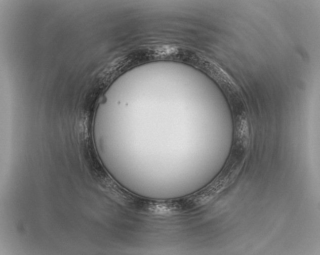 X0000116260565200912141310