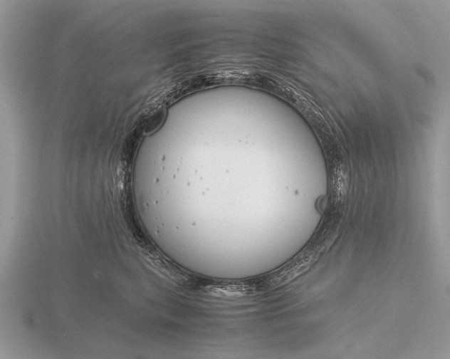 X0000116260567200912141310