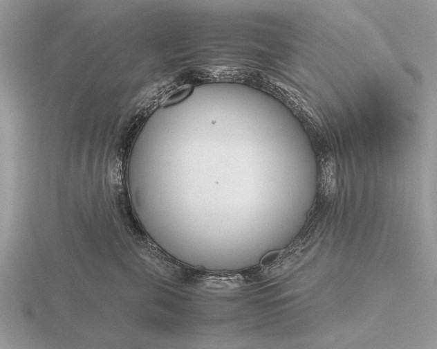 X0000116260571200912141310