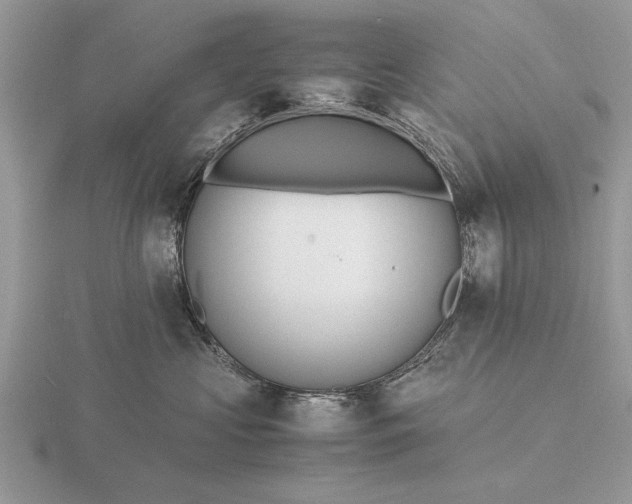 X0000116260573200912141310