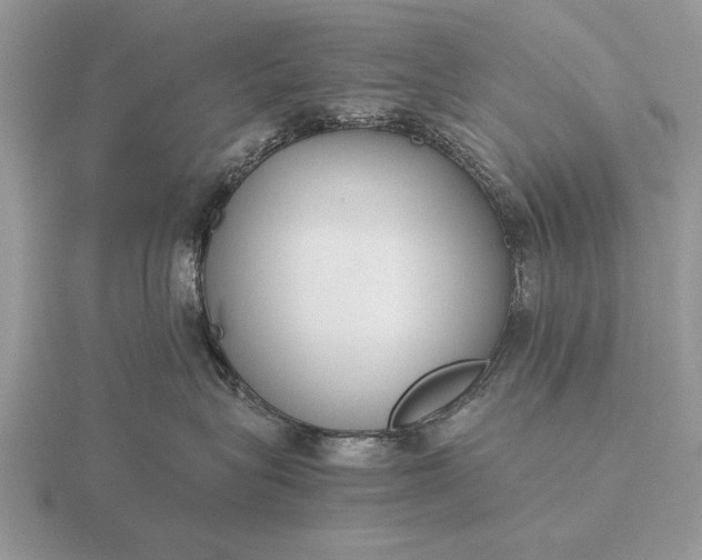 X0000116260575200912141310