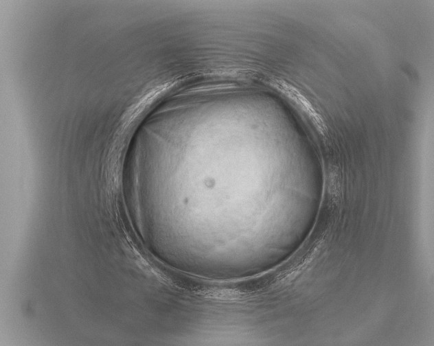 X0000116260577200912141309