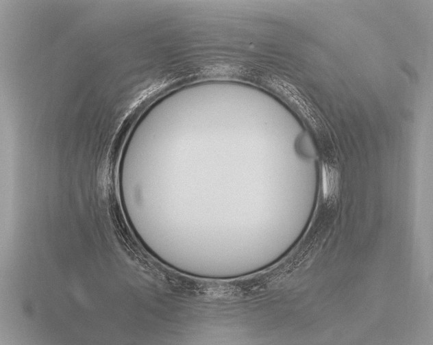 X0000116260579200912141309