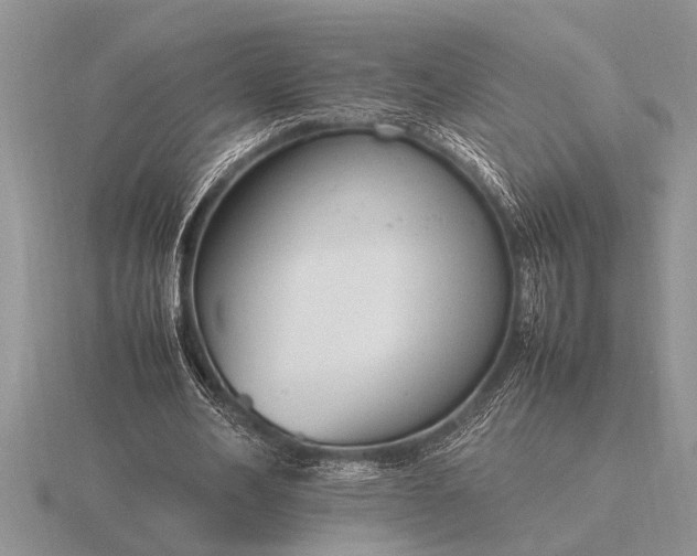 X0000116260582200912141309