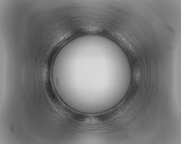 X0000116260591200912141309