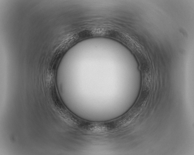 X0000116260601200912141309