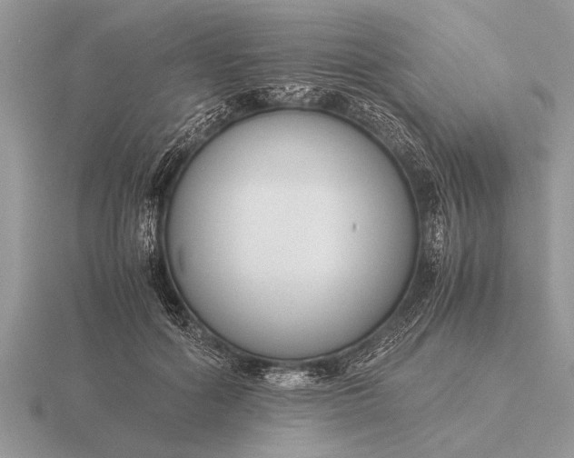 X0000116260602200912141309