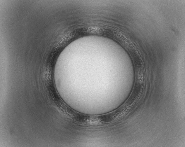 X0000116260603200912141309