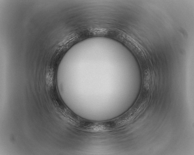 X0000116260604200912141309
