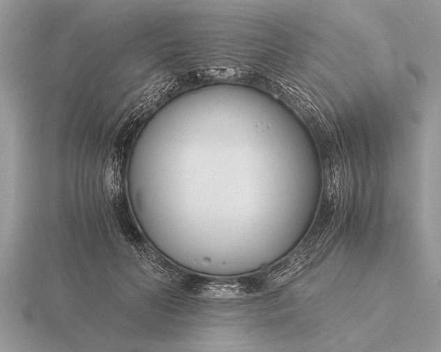 X0000116260606200912141309