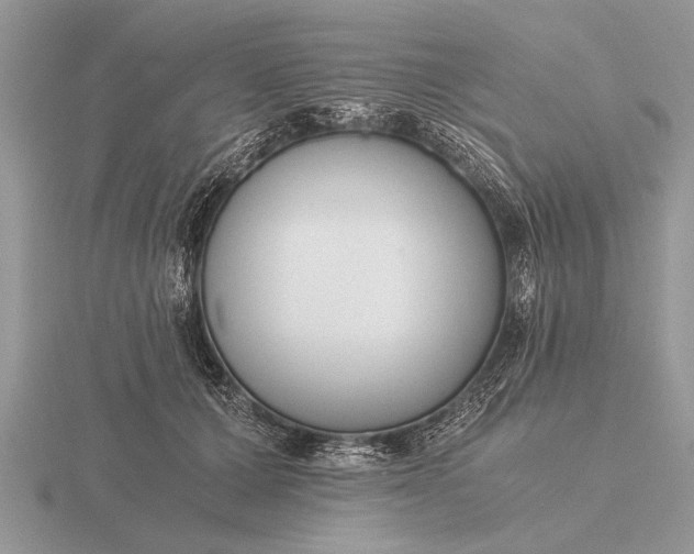 X0000116260607200912141309