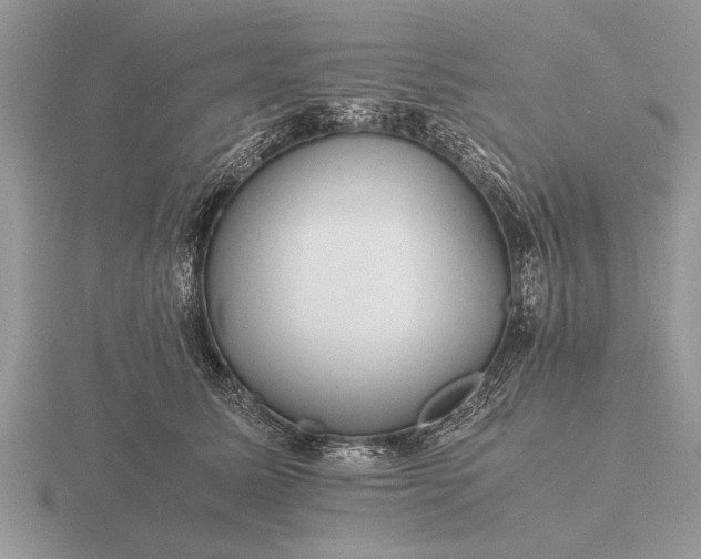 X0000116260611200912141309