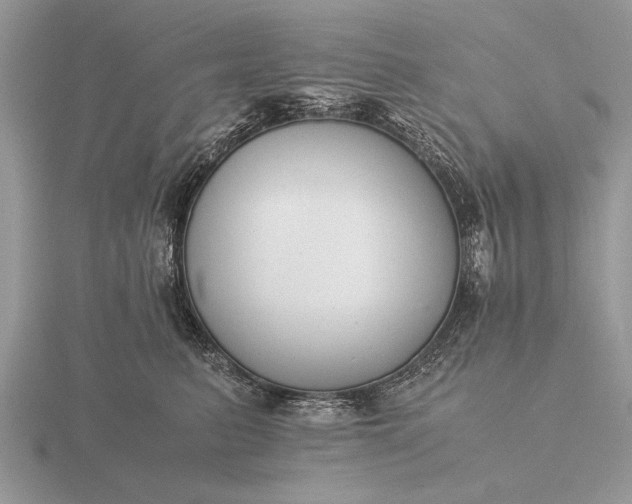 X0000116260615200912141309