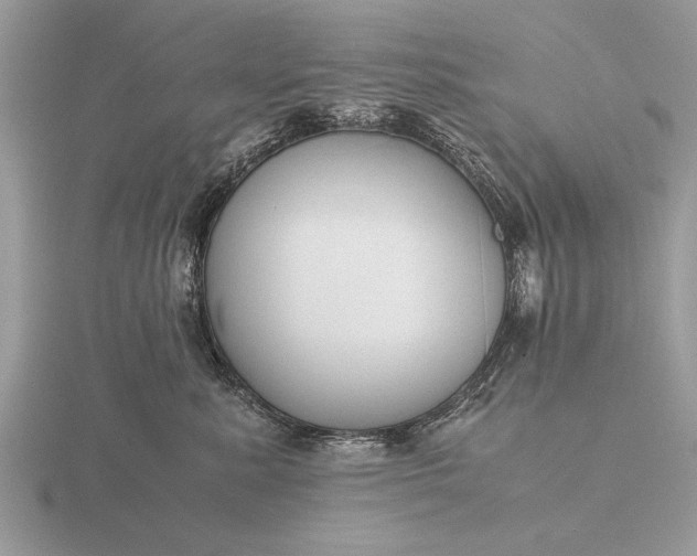 X0000116260619200912141309