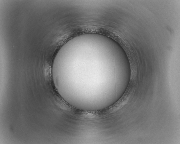 X0000116260624200912141309
