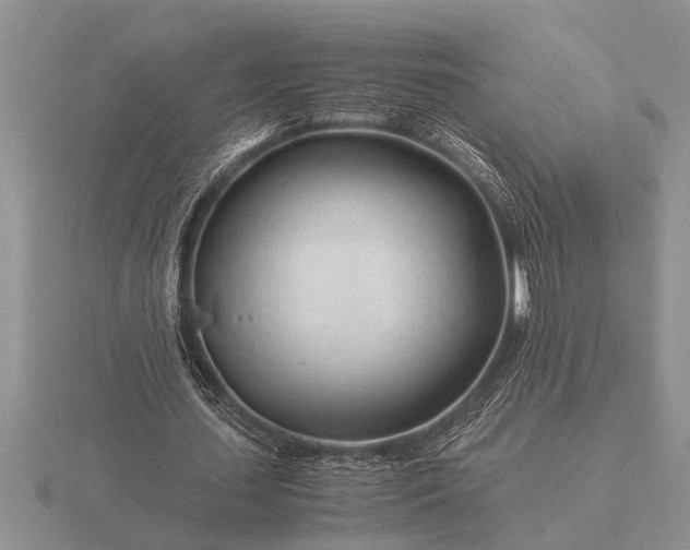 X0000116260627200912141308