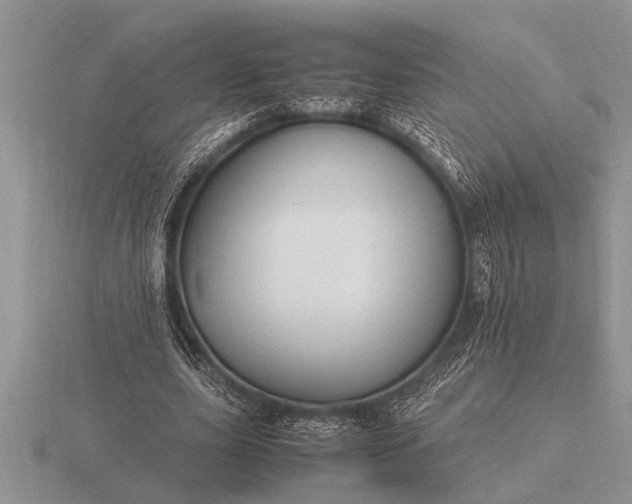 X0000116260631200912141308