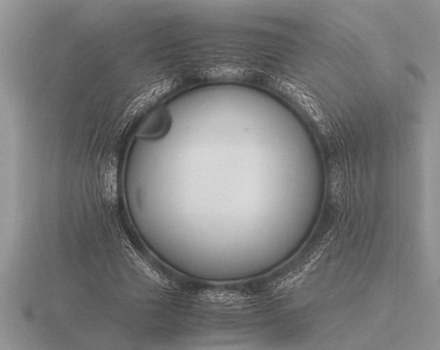 X0000116260633200912141308
