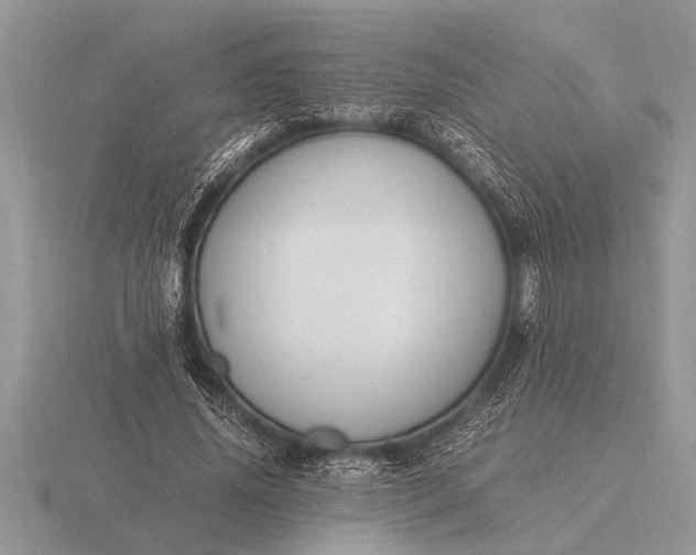 X0000116260636200912141308