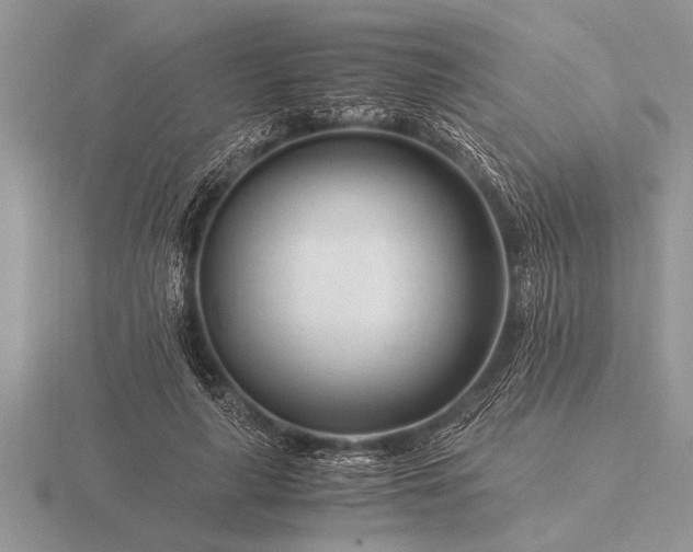 X0000116260643200912141308