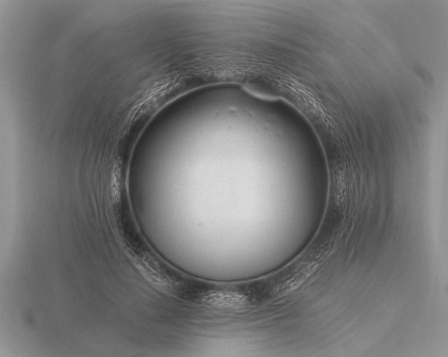 X0000116260644200912141308