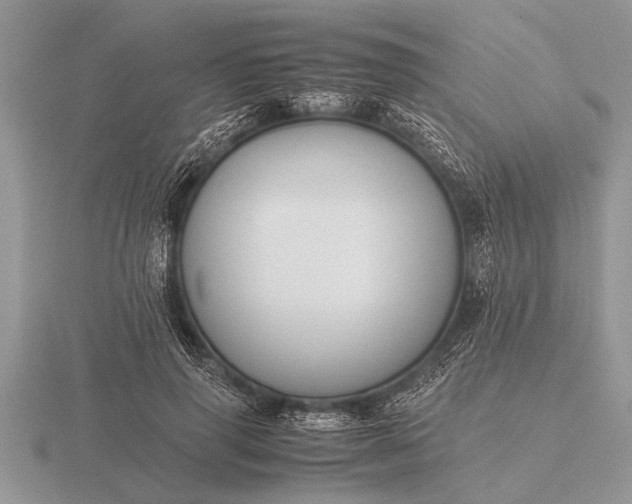 X0000116260645200912141308