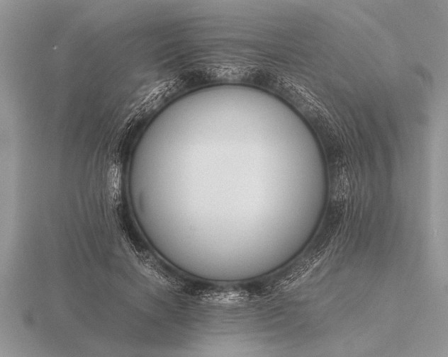 X0000116260646200912141308