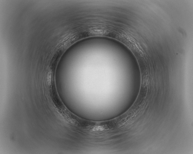 X0000116260647200912141308
