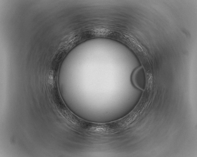 X0000116260655200912141309
