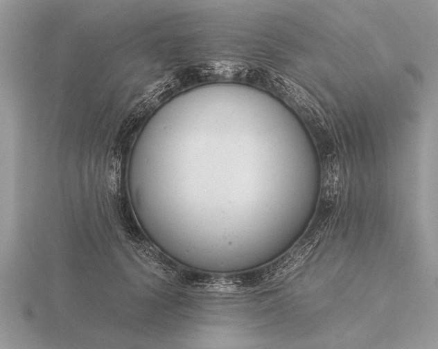 X0000116260656200912141309
