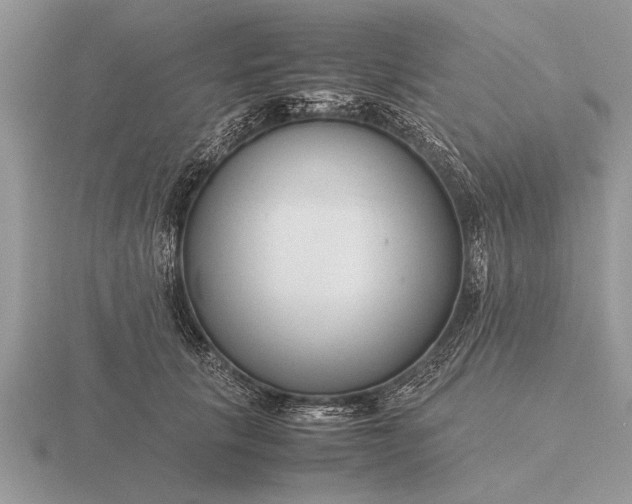 X0000116260657200912141309