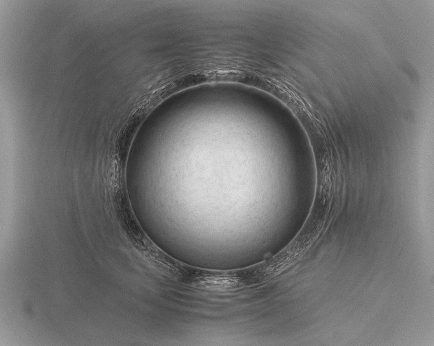 X0000116260659200912141309