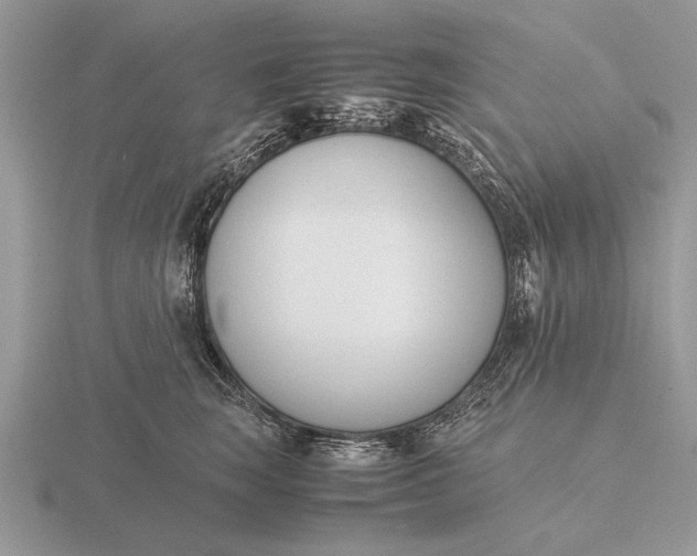 X0000116260663200912141309