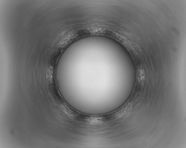 X0000116260664200912141309