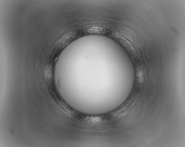 X0000116260665200912141309