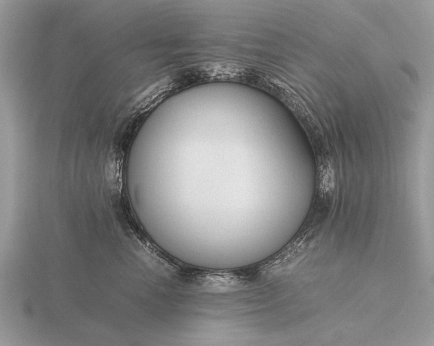 X0000116260666200912141309