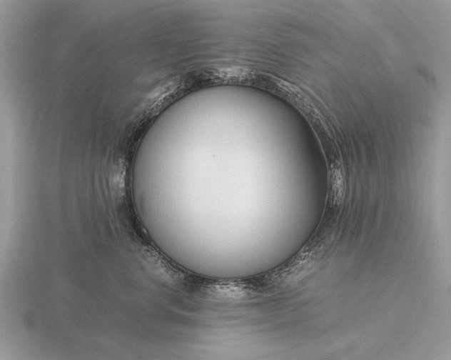 X0000116260668200912141309