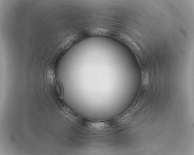 X0000116260669200912141309