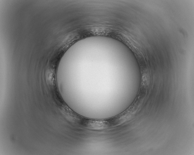 X0000116260671200912141309